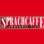 https://paris2.global-coding.com/barcelona/company_s/f3o4sl4i33bk8n0095f1aubl1t.jpg