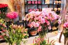 aroma