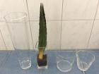 花瓶。
中身は取ってお渡ししますが、左から２番目の花瓶に入っているのは土では無くインテリア用の物です。