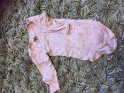Petit bateau 6m
1€