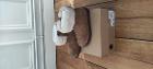 ➁UGG 10ユーロ