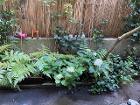 private garden in summer