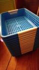 プラスチック製カゴA4　青