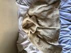 ジャケットオフホワイト　boohoo サイズM こちらは5€でお譲りします。