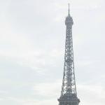 https://paris2.global-coding.com/paris/company_m/urf99dff4bfi1r78pkjg706k6n.jpg, ワタベウェディングパリ店, パリ