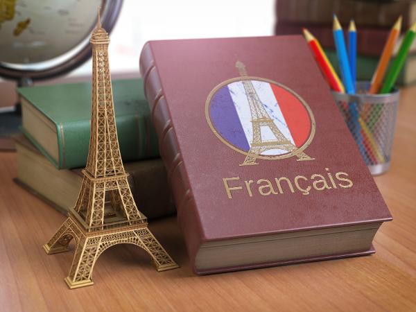 https://paris2.global-coding.com/paris/company_news/6o9ihtsbd98gbgdume4eoajn8b.jpg