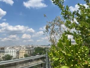 https://paris2.global-coding.com/paris/user/8hgvmfdftf3s1ittj0trgdff46.jpg